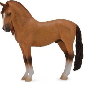 KOŃ CAMPOLINA STALLION RED DUN, COLLECTA