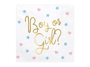 SERWETKI BOY OR GIRL? 33X33CM 20SZT
