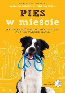 PIES W MIEŚCIE
