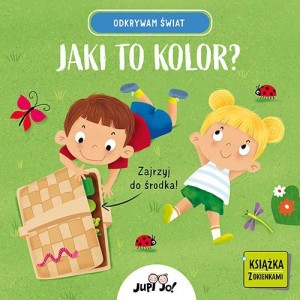 ODKRYWAM ŚWIAT. JAKI TO KOLOR?