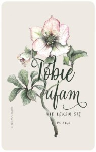 MAGNES NA LODÓWKĘ - TOBIE UFAM, SZARON