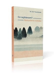 CO WYBIERAM? ROZMYŚLANIA W DRODZE
