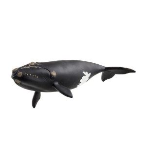 WIELORYB BISKAJSKI, SCHLEICH