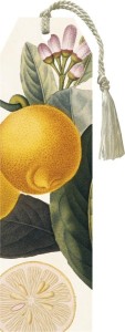 ZAKŁADKA 76 ZE WSTĄŻKĄ CYTRYNA, SKONA TING