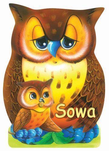 Sowa LIWONA, Rafał Wejner