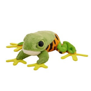 ŻABA CHWYTNICA MORELETA 10CM, BEPPE