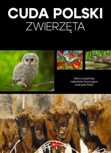 CUDA POLSKI. ZWIERZĘTA