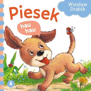 PIESEK HAU, HAU, WIESŁAW DRABIK