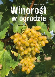 WINOROŚL W OGRODZIE