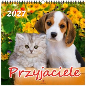 KALENDARZ 2027 WIELOPLANSZOWY 33X33CM PRZYJACIELE