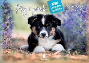 KALENDARZ 2027 RODZINNY PSY I PIESKI
