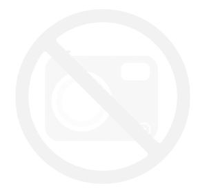 Brelok dla psiarzy - szpic miniaturowy