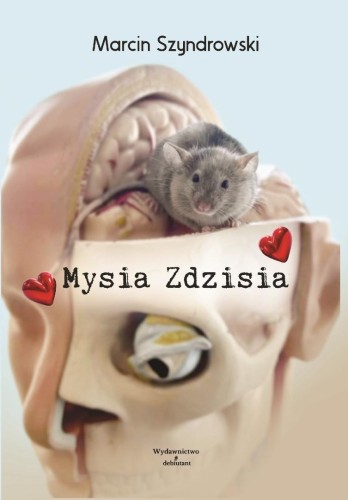 Mysia Zdzisia, Marcin Szyndrowski