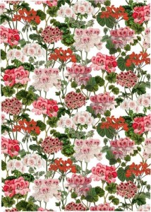 RĘCZNIK KUCHENNY - PELARGONIA