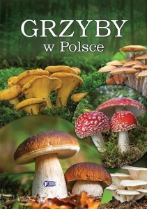 GRZYBY W POLSCE, PRACA ZBIOROWA