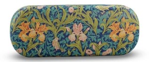 ACS JOHN H. DEARLE ETUI NA OKULARY TWARDE - IRYSY