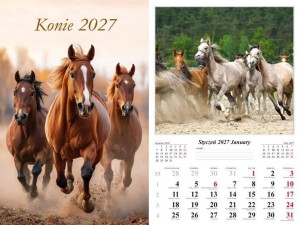 KALENDARZ 2027 ŚCIENNY KONIE