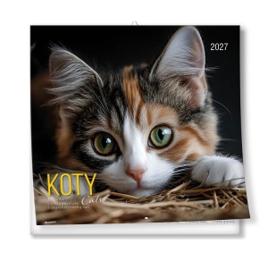 KALENDARZ 2027 ŚCIENNY 30X30CM KOTY