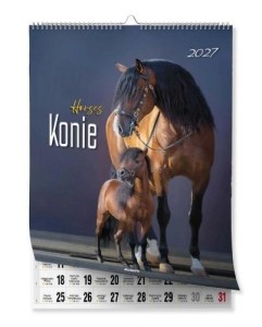 KALENDARZ 2027 ŚCIENNY 23X30,5CM KONIE