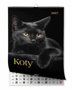 KALENDARZ 2027 ŚCIENNY A3 KOTY