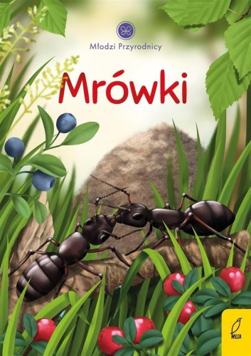 Młodzi przyrodnicy. Mrówki, Patrycja Zarawska