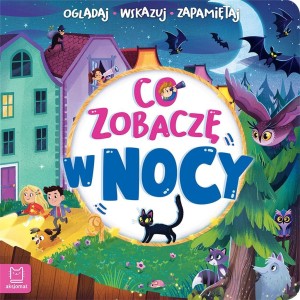 CO ZOBACZĘ W NOCY. OGLĄDAJ, WSKAZUJ, ZAPAMIĘTUJ