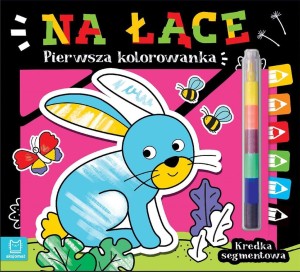 PIERWSZA KOLOROWANKA. NA ŁĄCE. KREDKA SEGMENTOWA