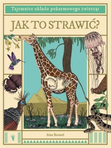 JAK TO STRAWIĆ? TAJEMNICE UKŁADU POKARMOWEGO...