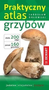 PRAKTYCZNY ATLAS GRZYBÓW, JAROSŁAW ORŁOWSKI